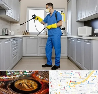 سمپاشی در میدان ولیعصر 