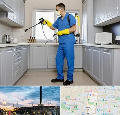 سمپاشی در منطقه 2 تهران 