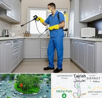 سمپاشی در تجریش 