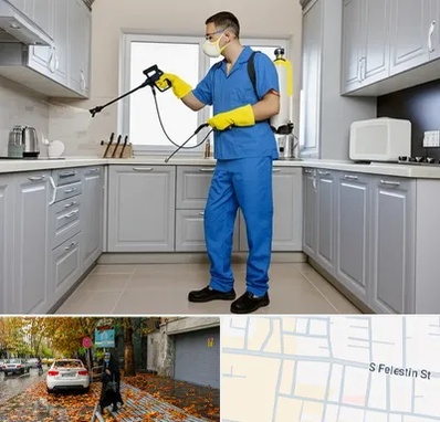 سمپاشی در خیابان فلسطین 