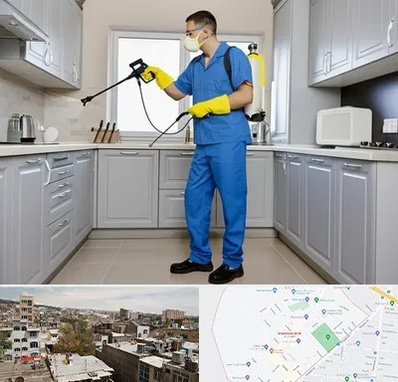 سمپاشی در شمیران نو 