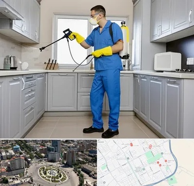 سمپاشی در زرافشان اسلامشهر 