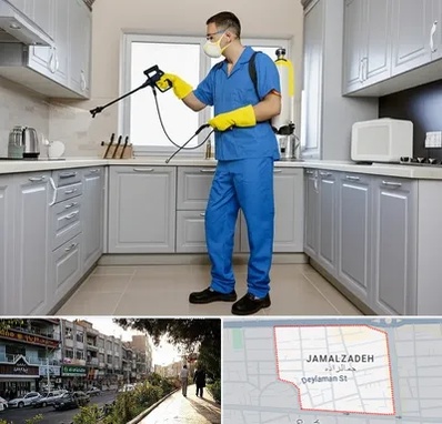 سمپاشی در خیابان جمالزاده 