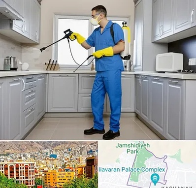 سمپاشی در نیاوران 