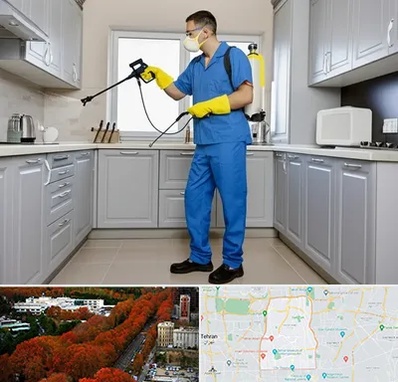 سمپاشی در منطقه 6 تهران 