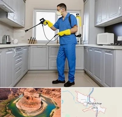 سمپاشی در پلدختر