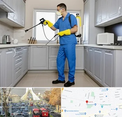 سمپاشی در خیابان آزادی 