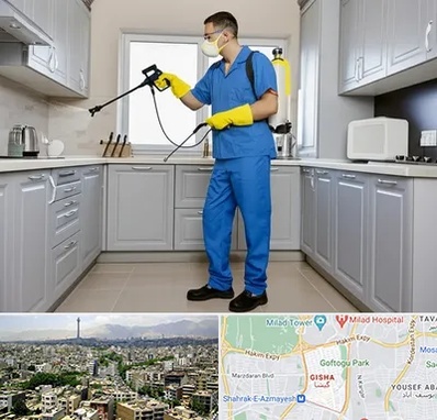 سمپاشی در گیشا 