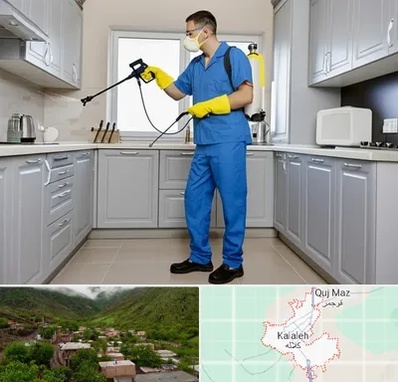 سمپاشی در کلاله