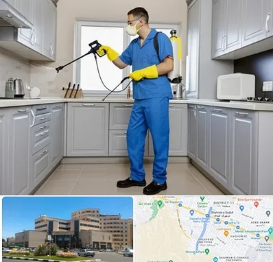 سمپاشی در صیاد شیرازی مشهد 