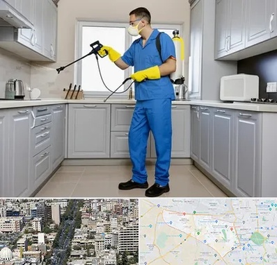 سمپاشی در منطقه 18 تهران 