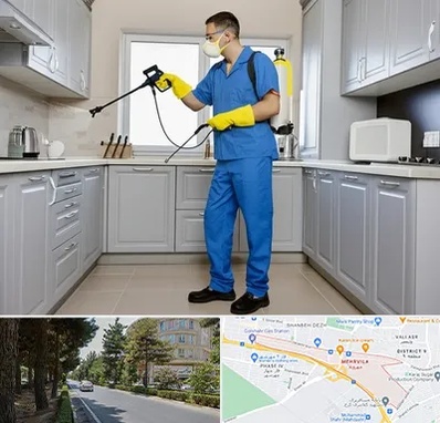 سمپاشی در مهرویلا کرج 