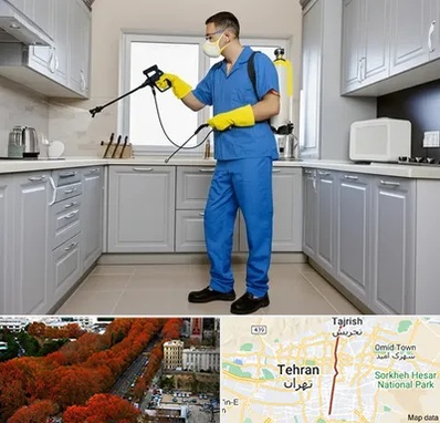 سمپاشی در ولیعصر 