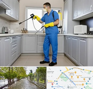 سمپاشی در خیابان ارم شیراز 