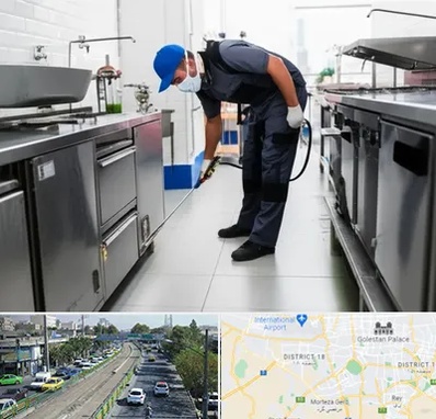 سمپاشی رستوران در جنوب تهران 