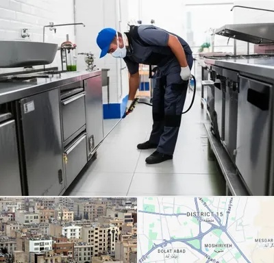 سمپاشی رستوران در جنوب شرق تهران