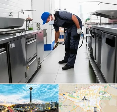 سمپاشی رستوران در تهران