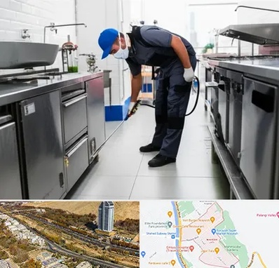 سمپاشی رستوران در خیابان نیایش شیراز 