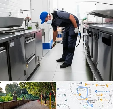 سمپاشی رستوران در بلوار گیلان رشت 