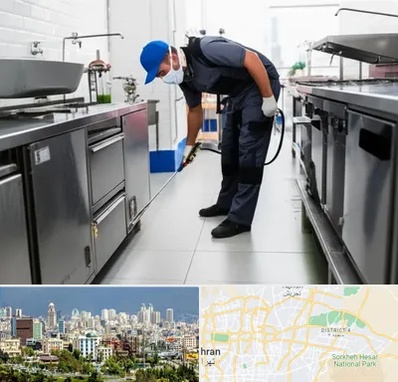 سمپاشی رستوران در شرق تهران 