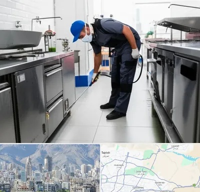 سمپاشی رستوران در شمال شرق تهران