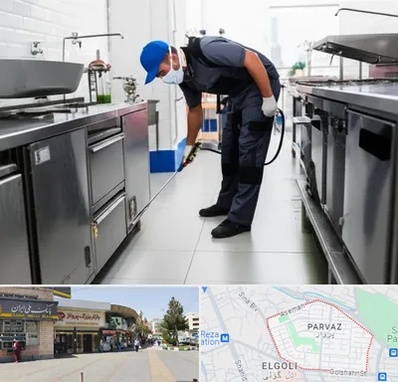 سمپاشی رستوران در پرواز تبریز 