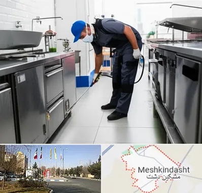 سمپاشی رستوران در مشکین دشت