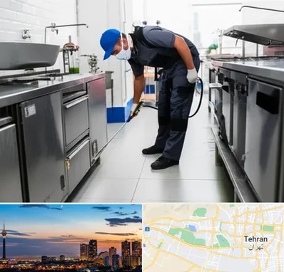 سمپاشی رستوران در غرب تهران 