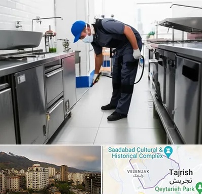سمپاشی رستوران در زعفرانیه 