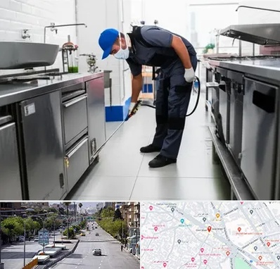 سمپاشی رستوران در خیابان زند شیراز 