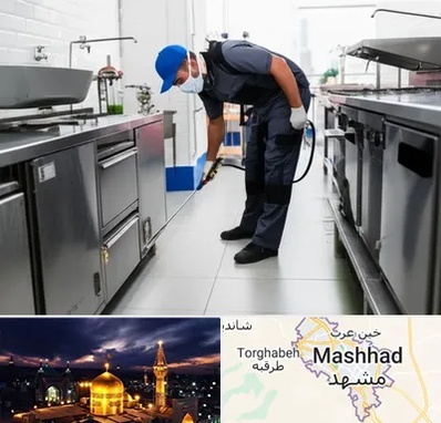 سمپاشی رستوران در مشهد