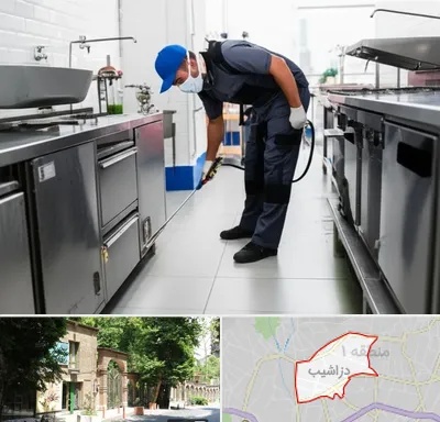 سمپاشی رستوران در دزاشیب