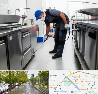 سمپاشی رستوران در خیابان ارم شیراز