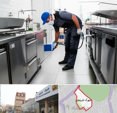 سمپاشی رستوران در شهرک شریعتی