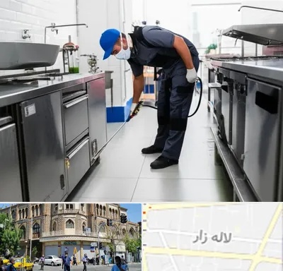 سمپاشی رستوران در لاله زار