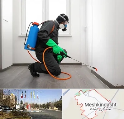 سمپاشی ساس و سوسک در مشکین دشت