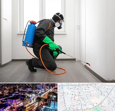 سمپاشی ساس و سوسک در منظریه رشت 