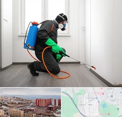 سمپاشی ساس و سوسک در سهند تبریز 