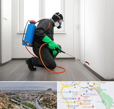 سمپاشی ساس و سوسک در معالی آباد شیراز 