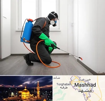 سمپاشی ساس و سوسک در مشهد