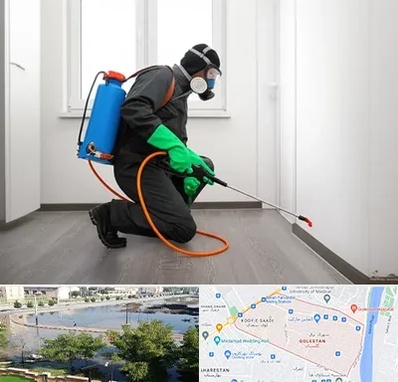 سمپاشی ساس و سوسک در گلستان اهواز 