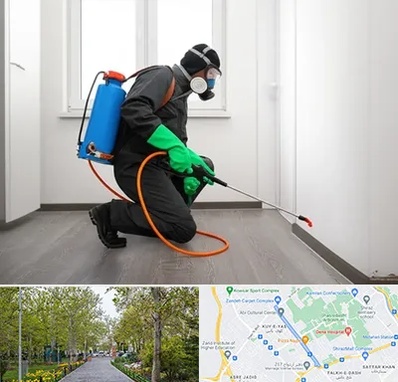 سمپاشی ساس و سوسک در قدوسی غربی شیراز 