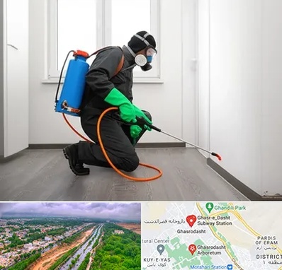 سمپاشی ساس و سوسک در قصرالدشت شیراز 