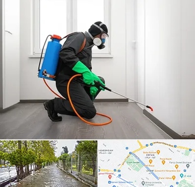 سمپاشی ساس و سوسک در خیابان ارم شیراز 