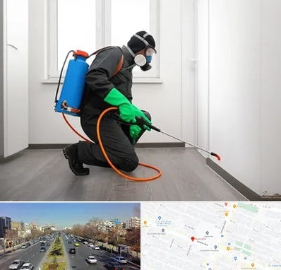 سمپاشی ساس و سوسک در بلوار معلم مشهد