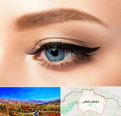 تاتو خط چشم در خراسان شمالی