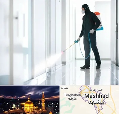 سمپاشی شرکت در مشهد