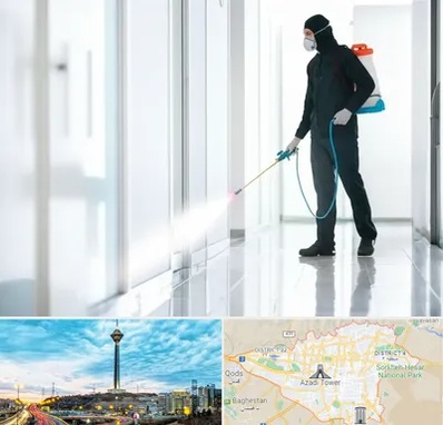 سمپاشی شرکت در تهران