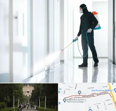 سمپاشی شرکت در بلوار معلم رشت 