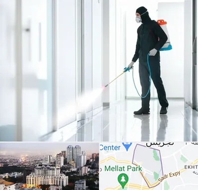 سمپاشی شرکت در الهیه 